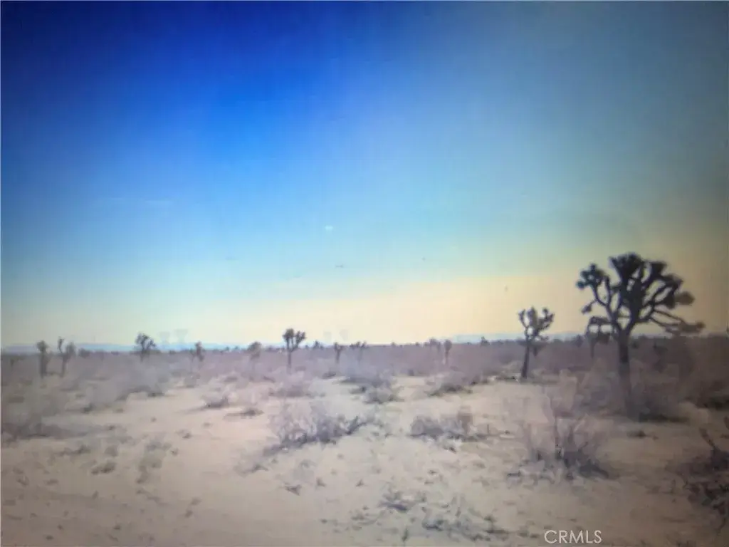 0 Duncan, Phelan, CA 92371 - #1