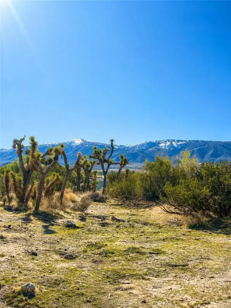 155 Del Rosa, Pinon Hills, CA 92372 - #2