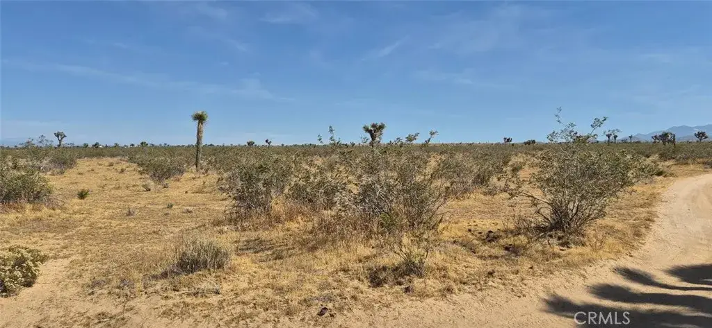 1 La Mesa, Phelan, CA 92371 - #1