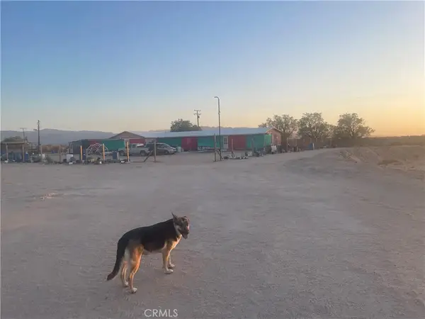 49645 Silver Valley Road, Newberry Springs, CA 92365