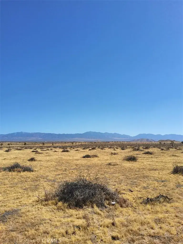 255 W Avenue N, Palmdale, CA 93551 - #3