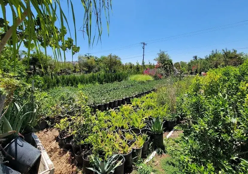 9045 56th, Jurupa Valley, CA 92509 - #3