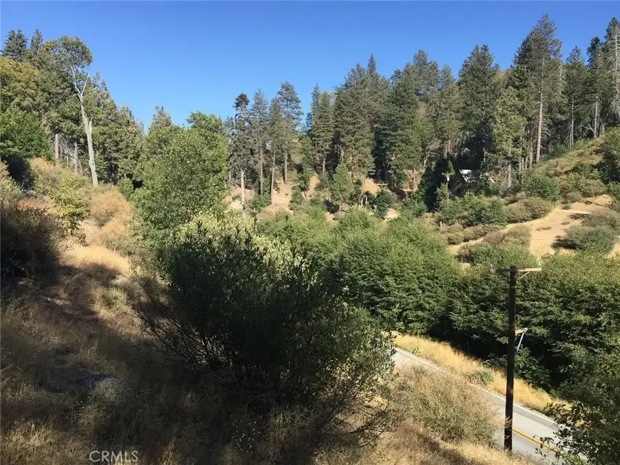 29751 Redwood, Cedar Glen, CA 92321 - #3