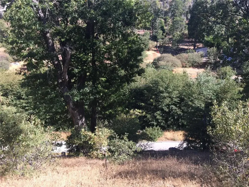 29776 Hook Creek, Cedar Glen, CA 92321 - #1