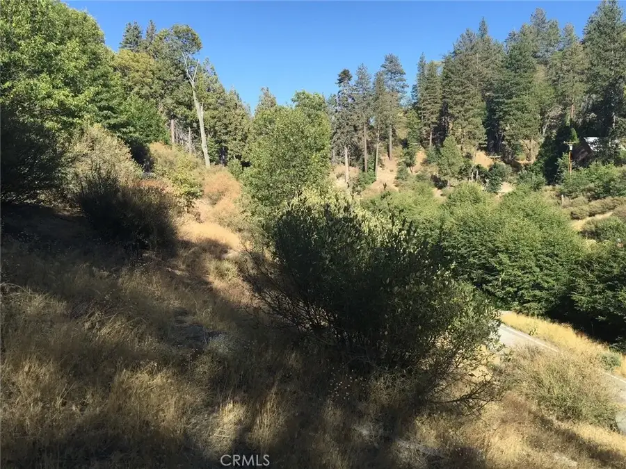 29776 Hook Creek, Cedar Glen, CA 92321 - #2
