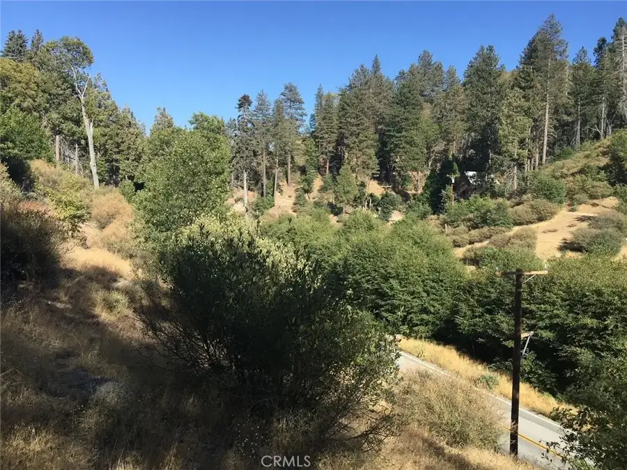 29776 Hook Creek, Cedar Glen, CA 92321 - #3