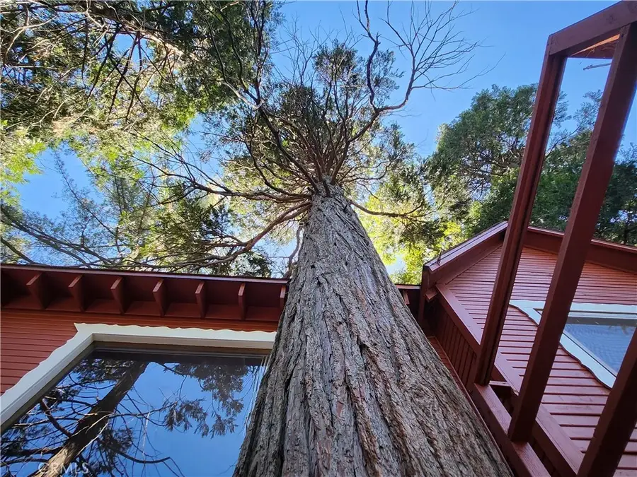 23727 Bowl Road, Crestline, CA 92325 - #3