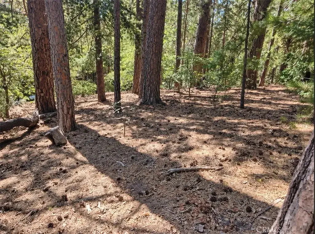 131 Golf Course, Lake Arrowhead, CA 92352 - #1