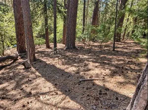 131 Golf Course, Lake Arrowhead, CA 92352