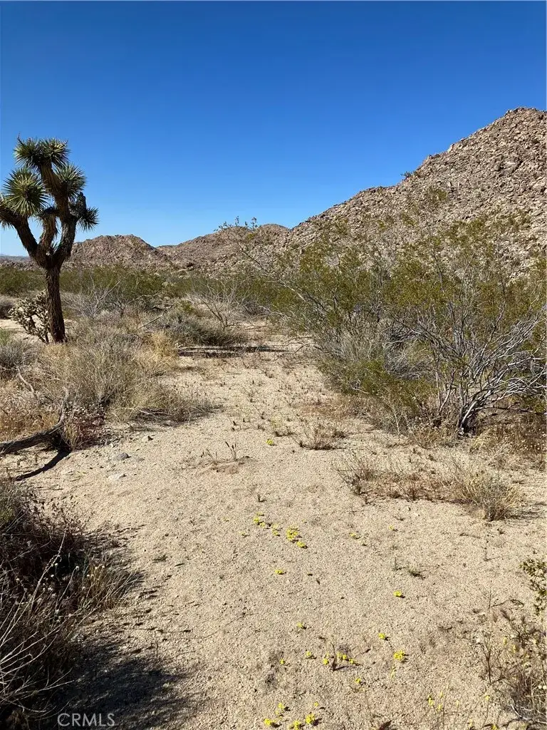 0 Anaconda Dr., Joshua Tree, CA 92252 - #2