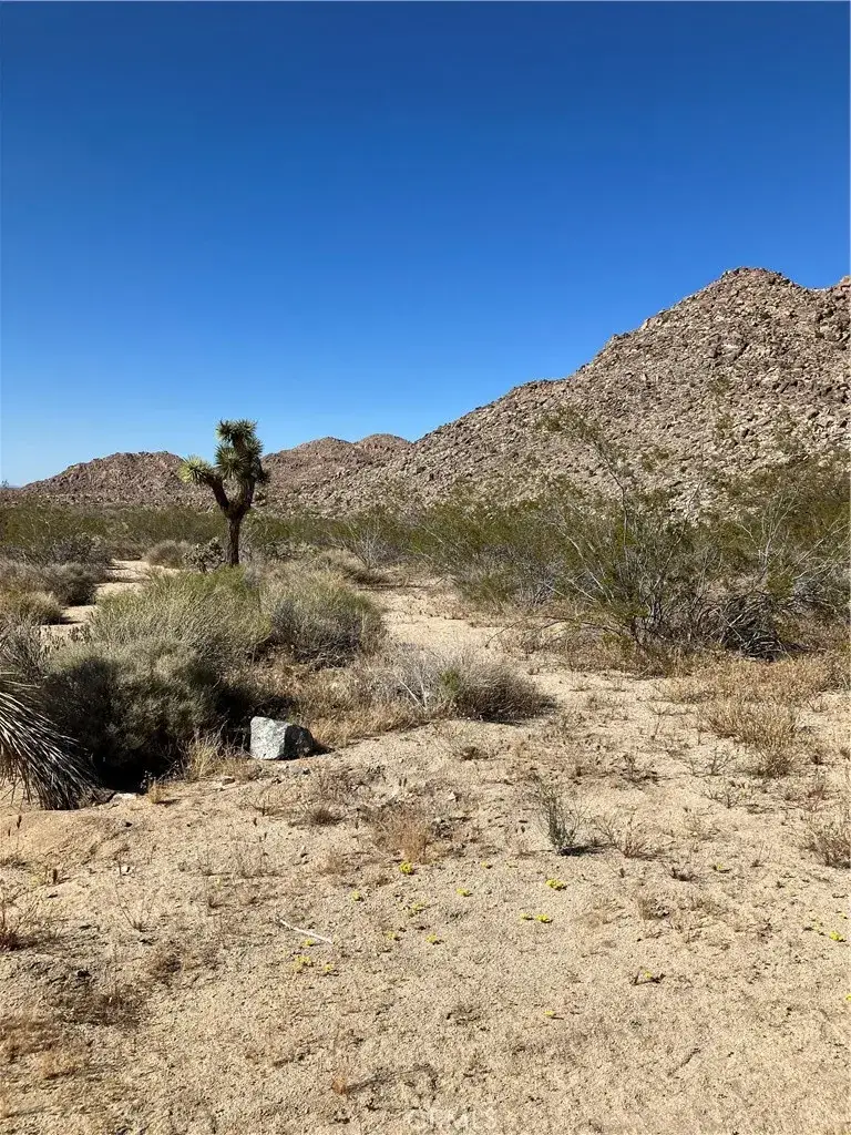 0 Anaconda Dr., Joshua Tree, CA 92252 - #3