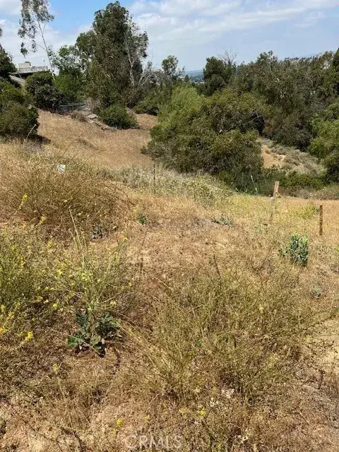 309 S Penny Lane, Anaheim Hills, CA 92808 - Image #3