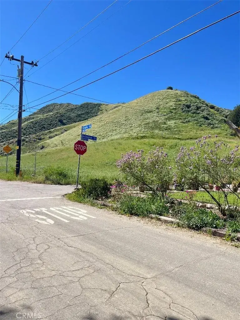 0 Paradise Rd, Val Verde, CA 91384 - #3