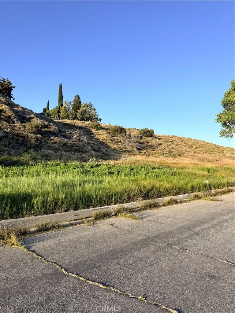 0 Kiptree, Lake Hughes, CA 93532 - #2