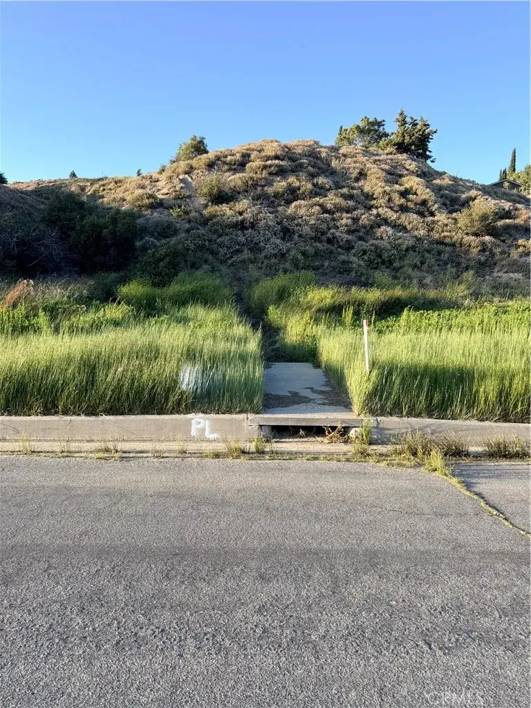 0 Kiptree, Lake Hughes, CA 93532 - #3