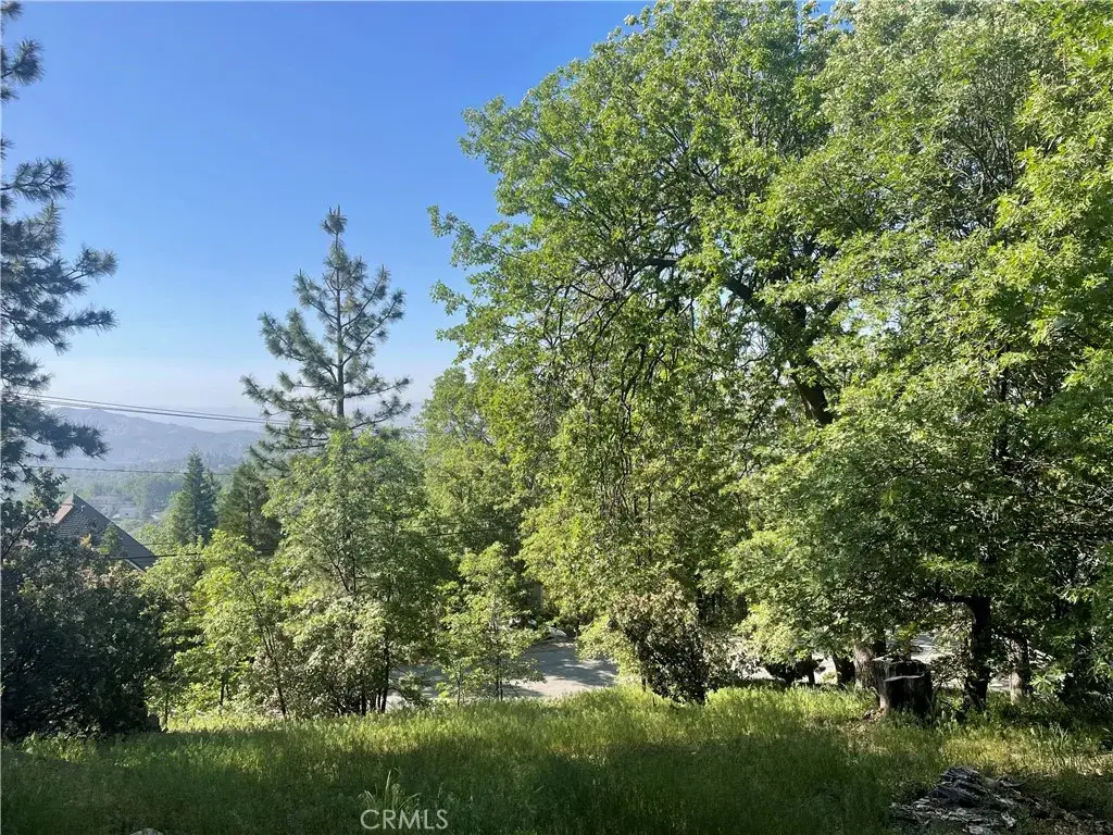 0 Banff, Lake Arrowhead, CA 92352 - #1