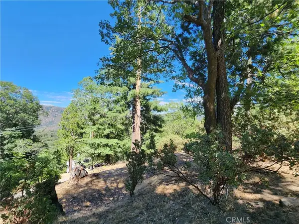 203 Canyon View, Crestline, CA 92325