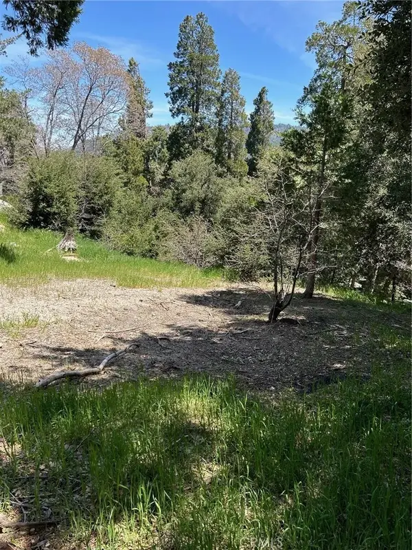 1039 Jungfrau, Crestline, CA 92325