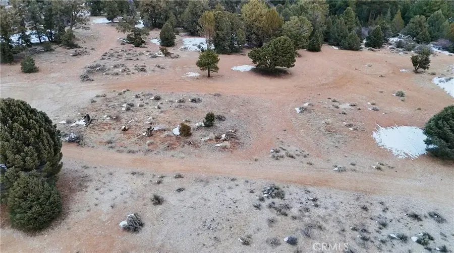 0 Pine, Big Bear City, CA 92314 - #2