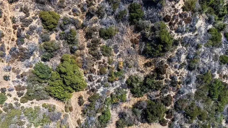 2625 N Dominion Lane, Los Angeles, CA 90046 - Image #2