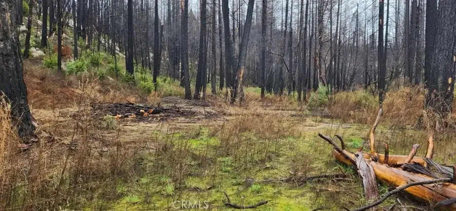 182 Gamble, Berry Creek, CA 95916 - Image #3