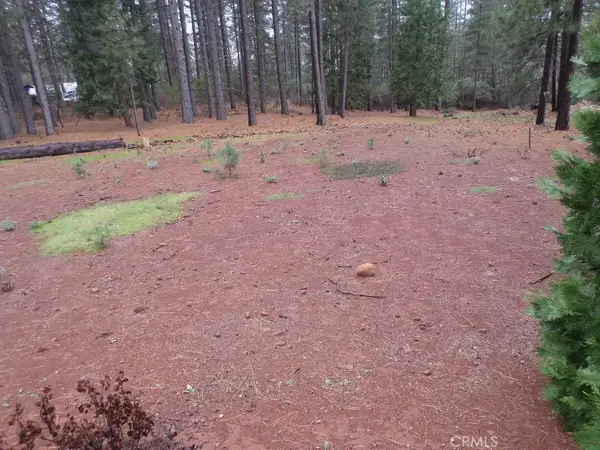 0 Mendocino, Cohasset, CA 95973