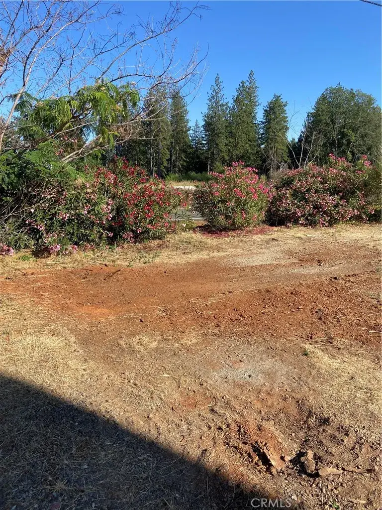 8899 Skyway, Paradise, CA 95969 - #1