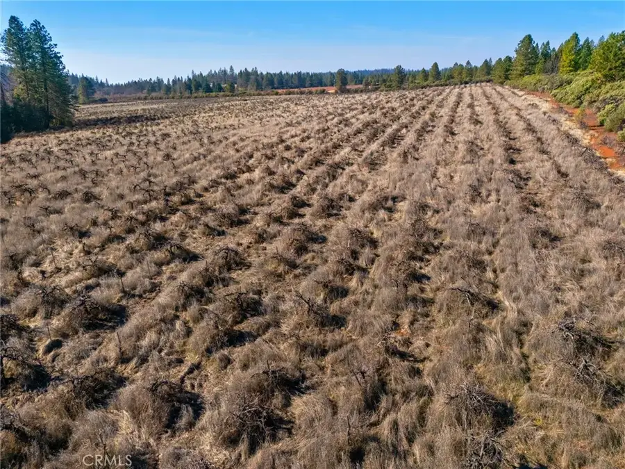 0 Doe Mill Road, Forest Ranch, CA 95942 - Image #3