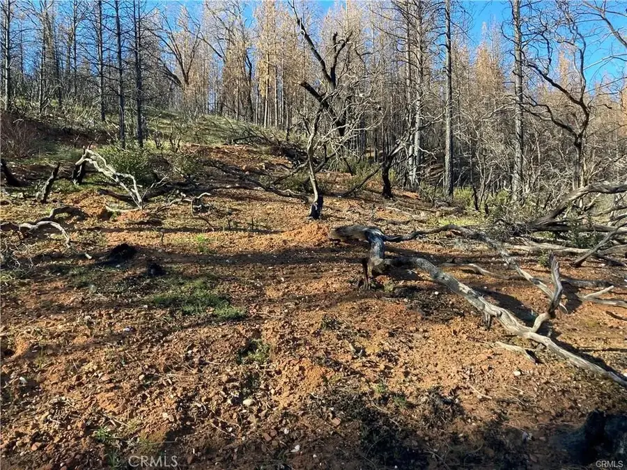 191 Ruiz, Berry Creek, CA 95916 - Image #3