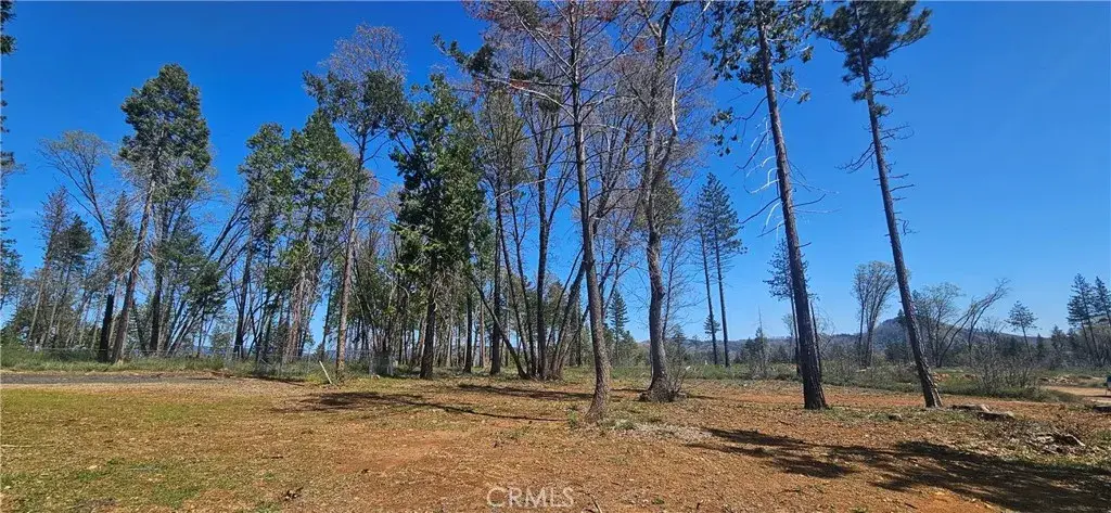 0 Skyway, Magalia, CA 95954 - #1