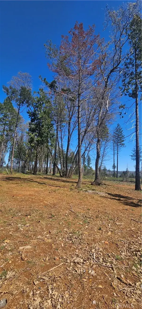 0 Skyway, Magalia, CA 95954 - #3