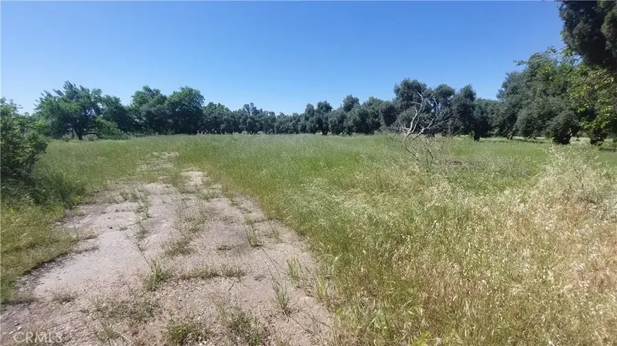 2915 S 99w, Corning, CA 96021 - Image #3