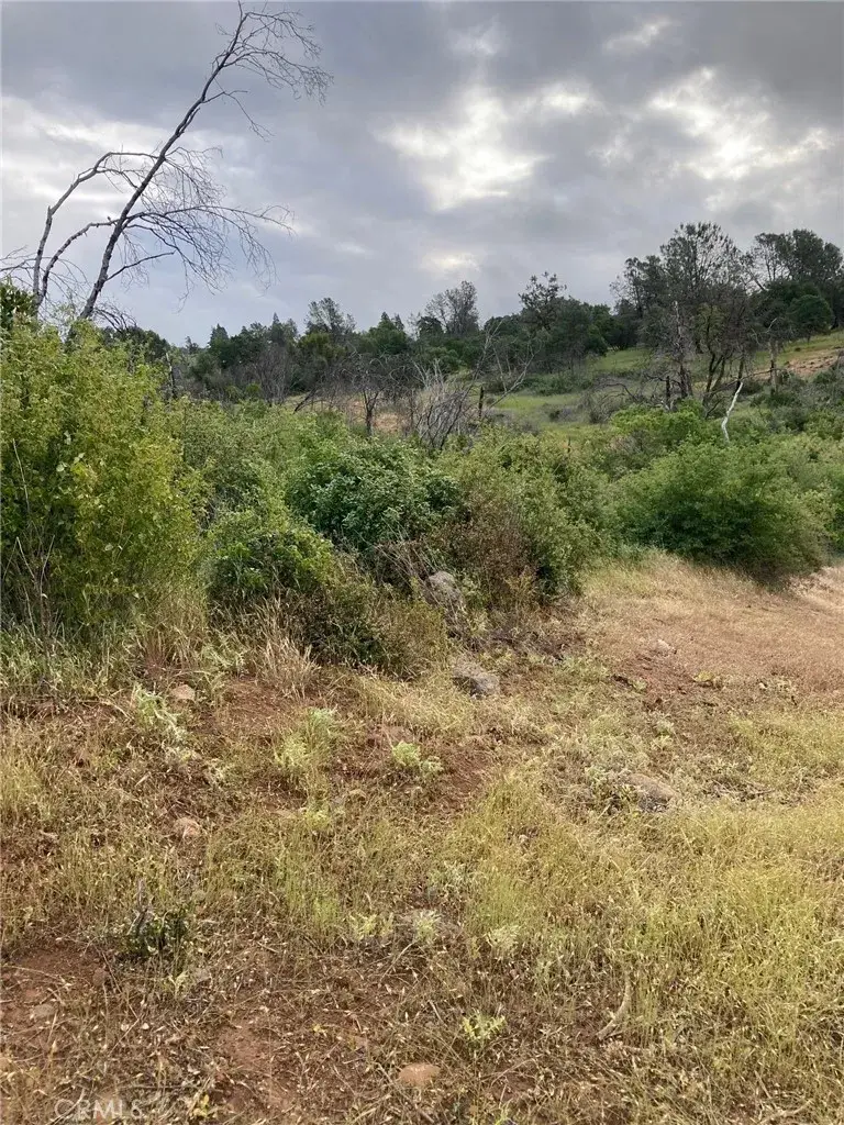 1 Wayland, Paradise, CA 95969 - #3