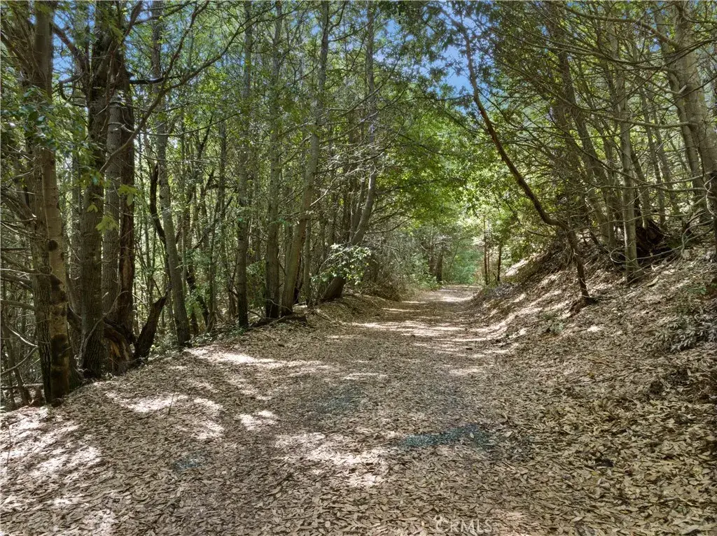 63 Binet, Clipper Mills, CA 95930 - #1