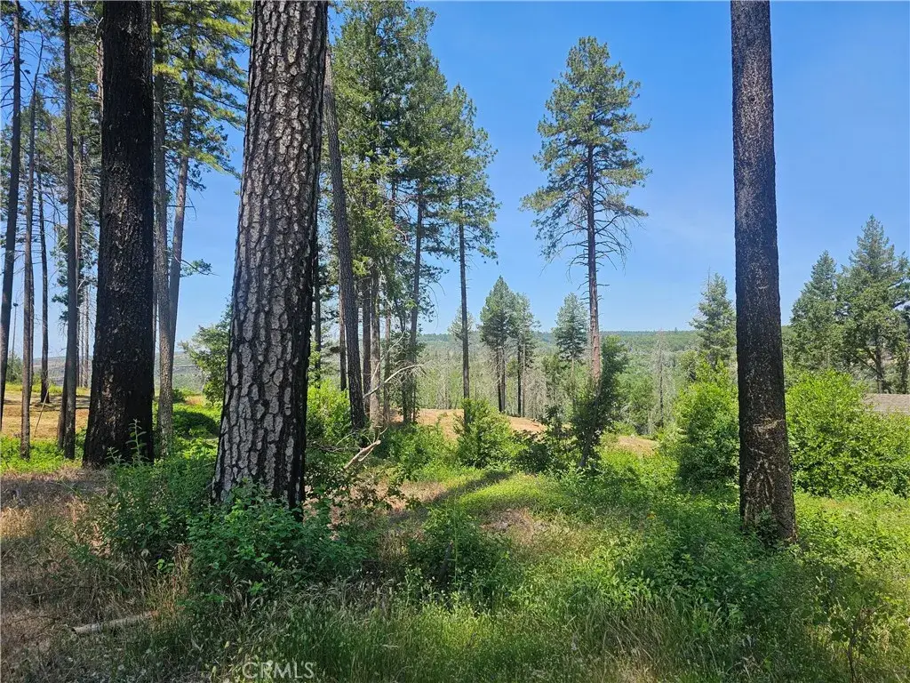 6649 Lincoln, Paradise, CA 95969 - Image #1