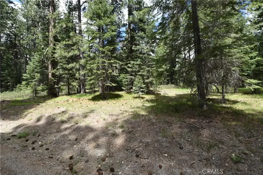 0 Fumarole Ct, McCloud, CA 96057 - Image #2