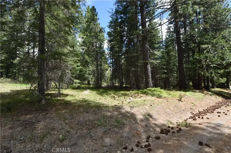 0 Fumarole Ct, McCloud, CA 96057 - Image #3