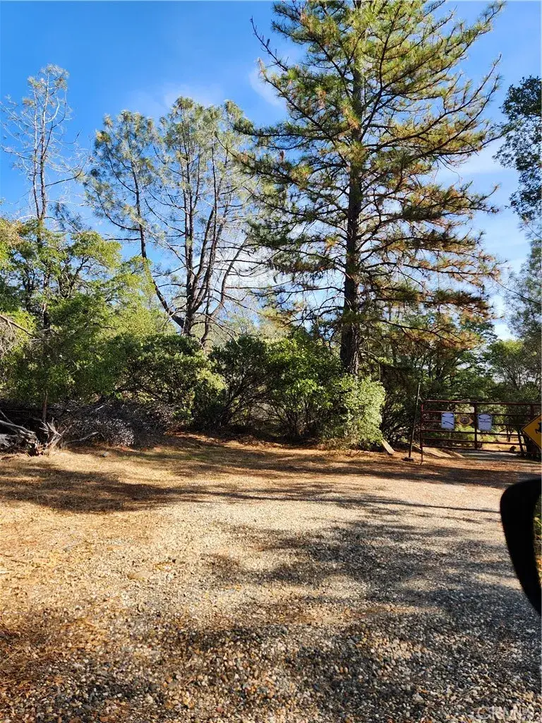 7949 Marie, Rackerby, CA 95972 - Image #1