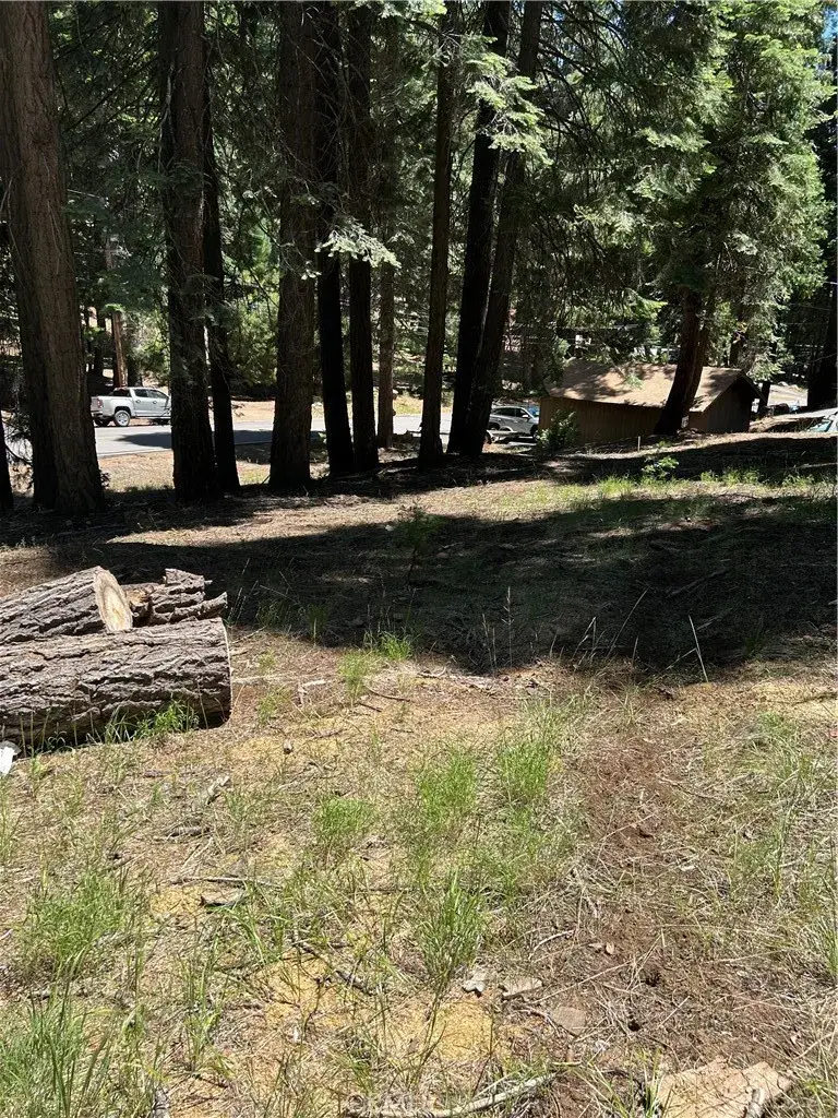 631 Cedar Canyon, Westwood, CA 96137 - Image #1