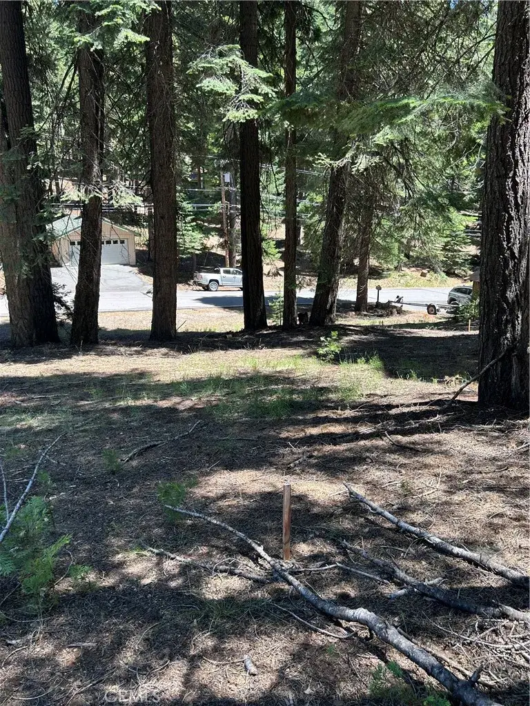 631 Cedar Canyon, Westwood, CA 96137 - Image #2