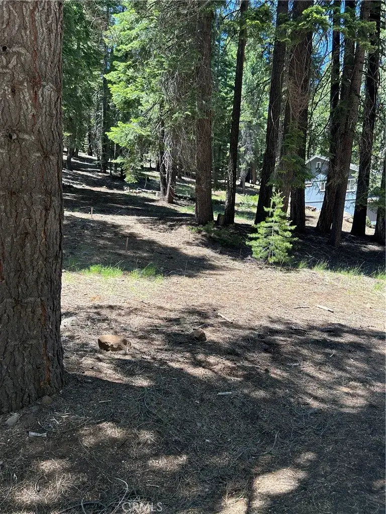 631 Cedar Canyon, Westwood, CA 96137 - Image #3