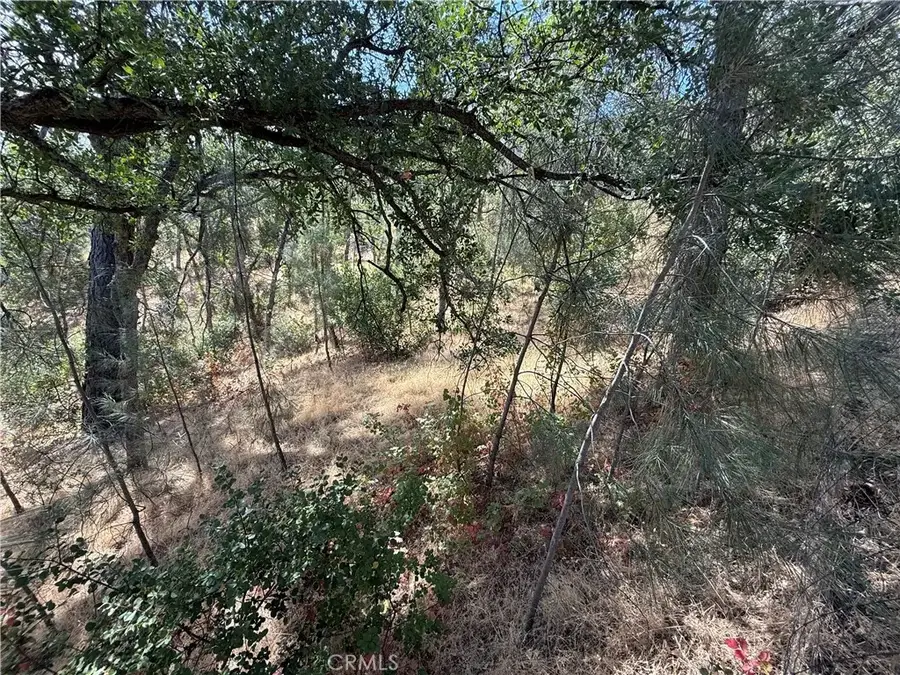 16305 Hillcrest, Corning, CA 96021 - Image #2