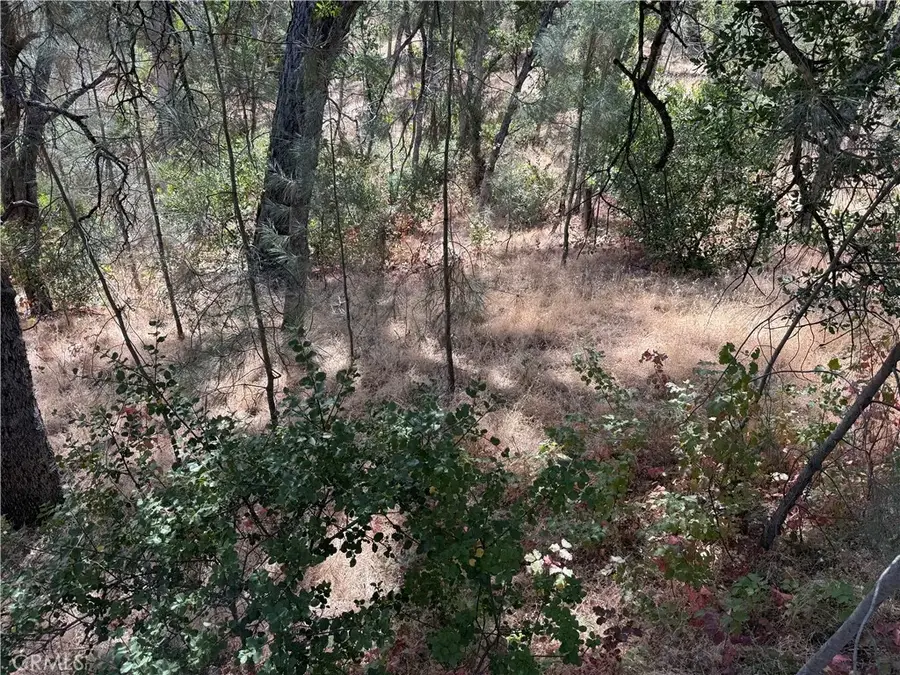 16305 Hillcrest, Corning, CA 96021 - Image #3