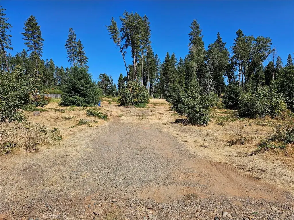 1533 Forest Service Rd, Paradise, CA 95969 - #1