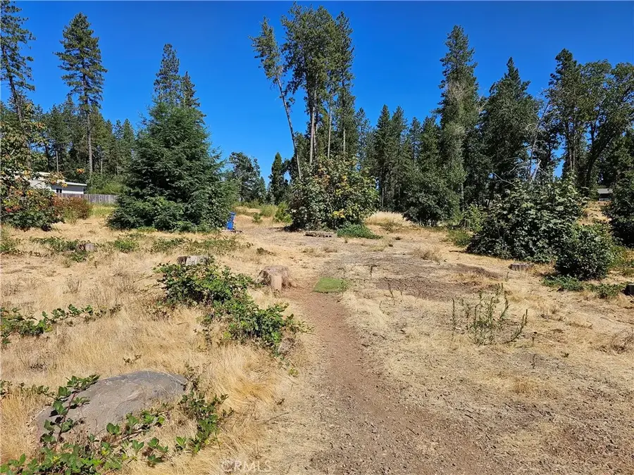 1533 Forest Service Rd, Paradise, CA 95969 - #3