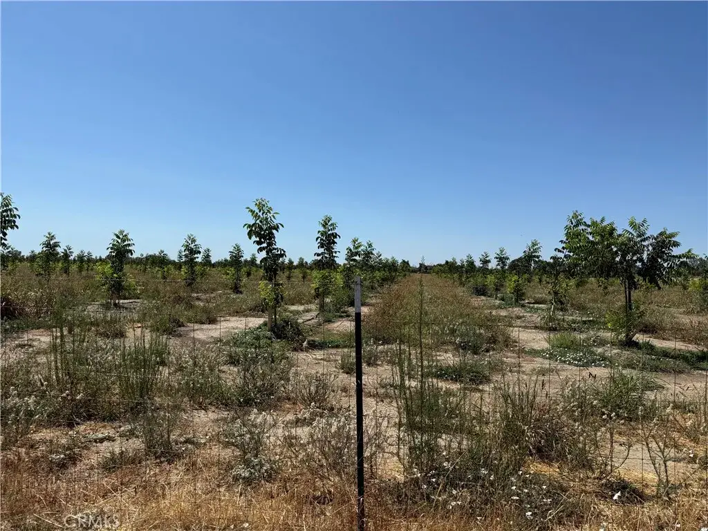 0 Loleta, Corning, CA 96021 - Image #1