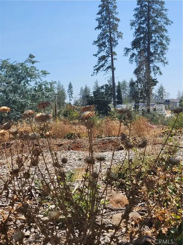 420 Simpson Ranch, Berry Creek, CA 95916