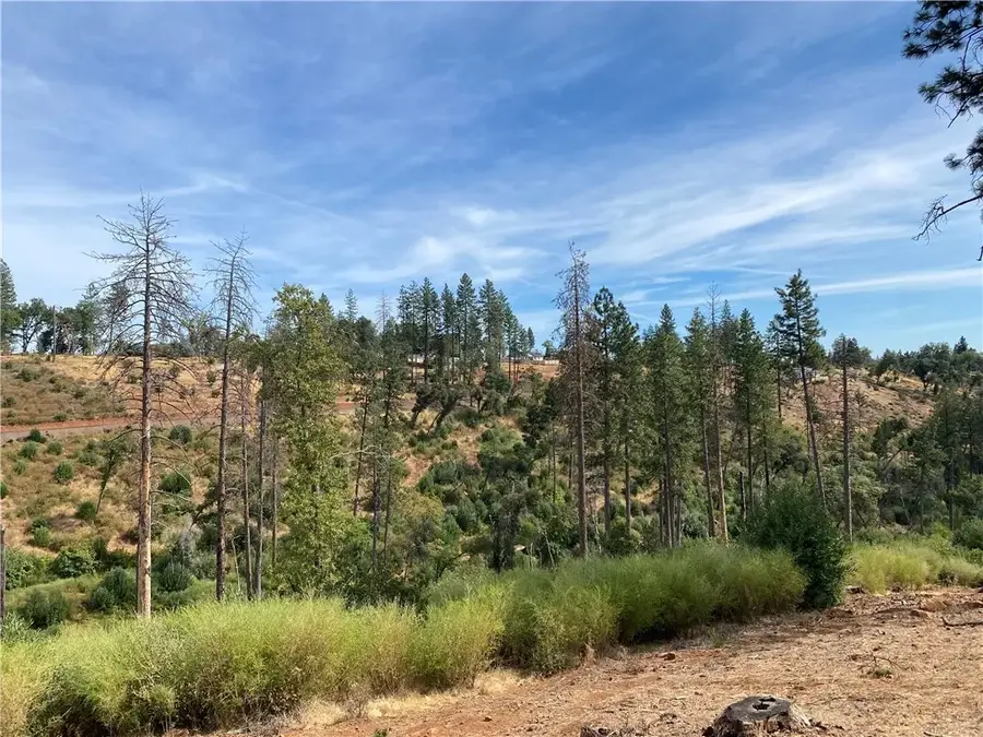 0 Stearns, Paradise, CA 95969 - #3