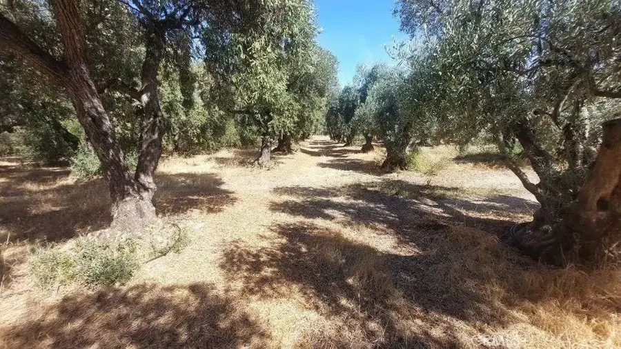 0 Finnell Avenue, Corning, CA 96021 - Image #3