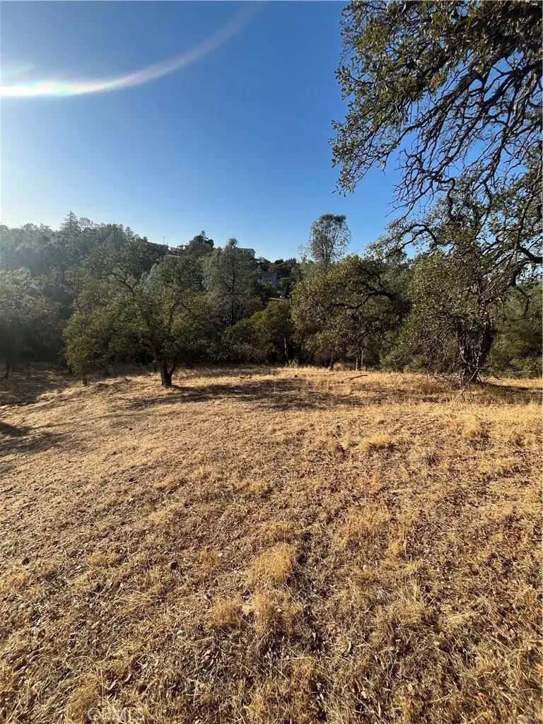 175 Lemon Hill, Oroville, CA 95966 - #1